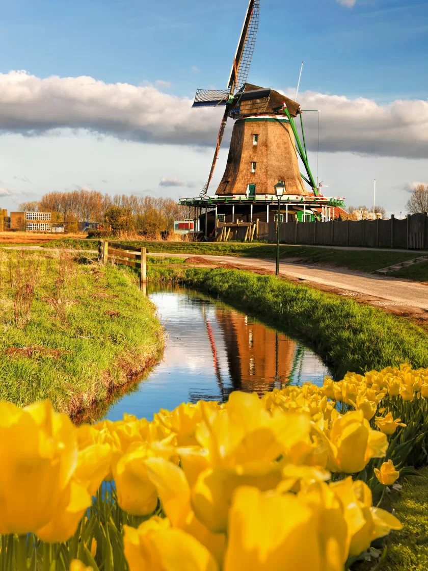 The Netherlands