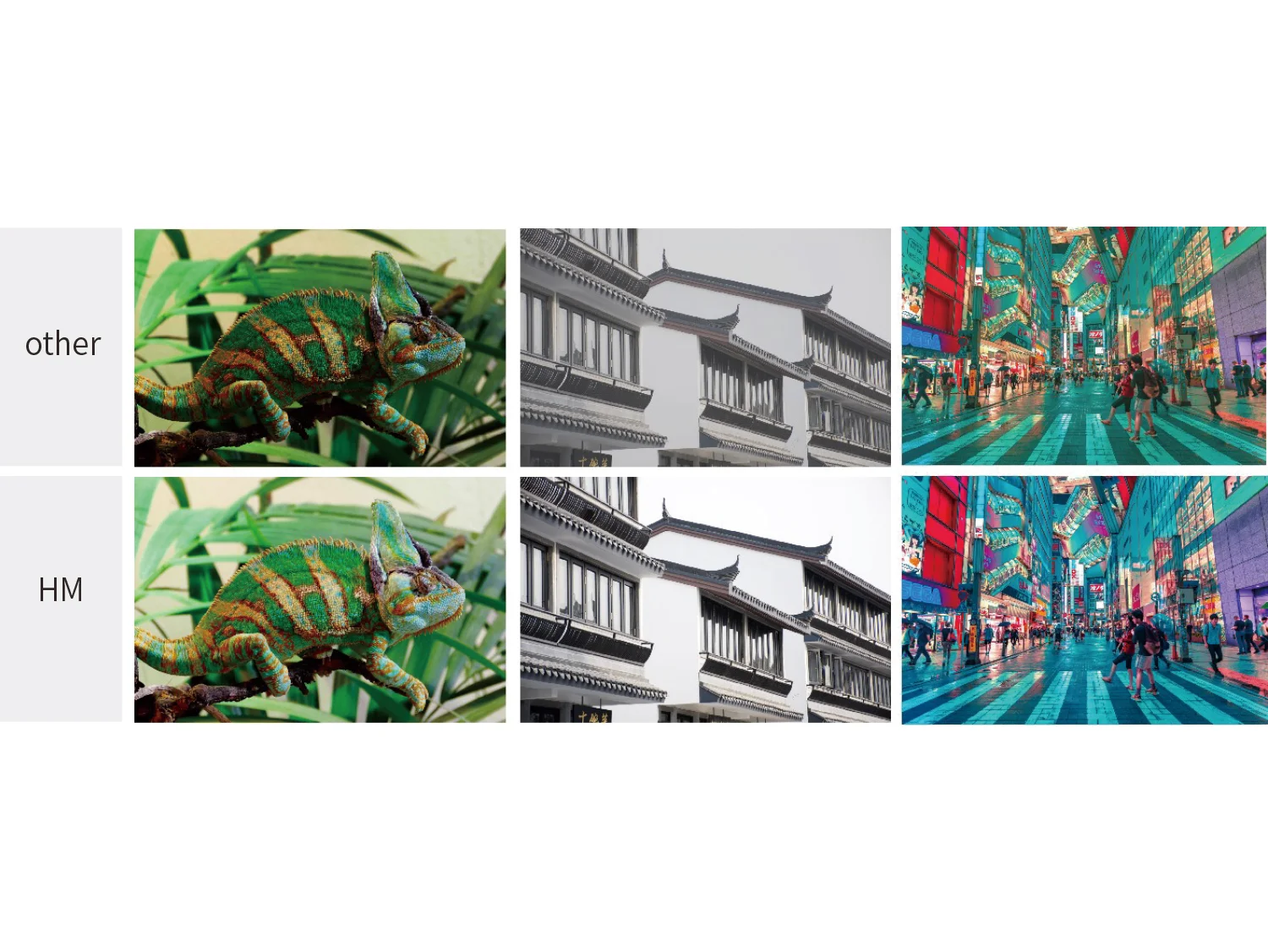 High-Brightness Outdoor Visuals