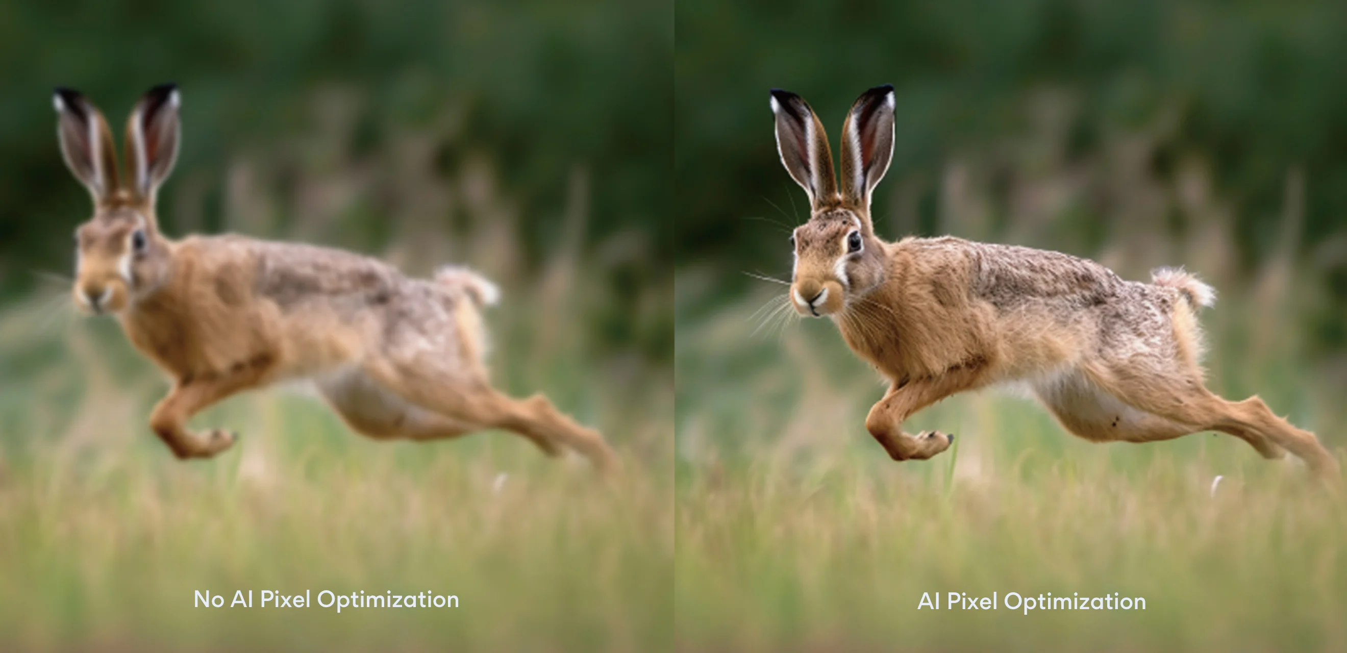 Enhances image detail and clarity