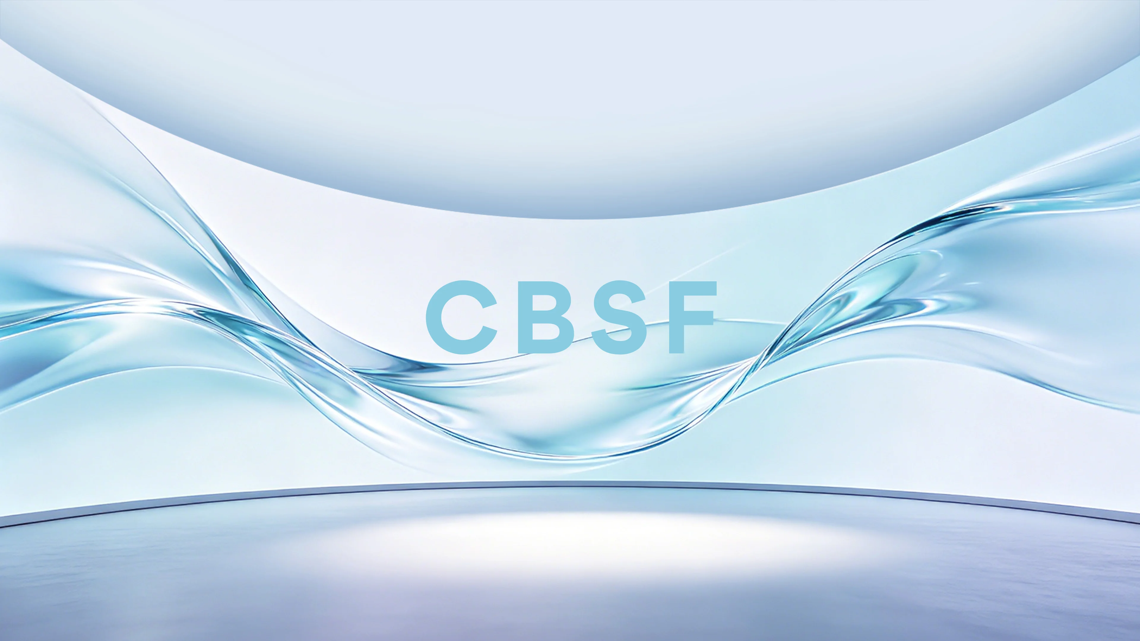 CBSF TECHNOLOGY